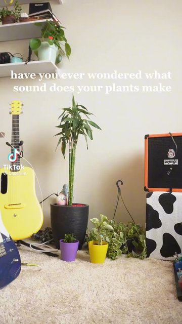 playtronica Biotron セット Playtronica Shop