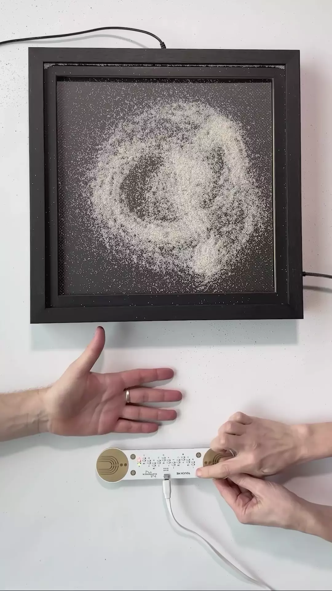 playtronica Biotron セット Playtronica Shop