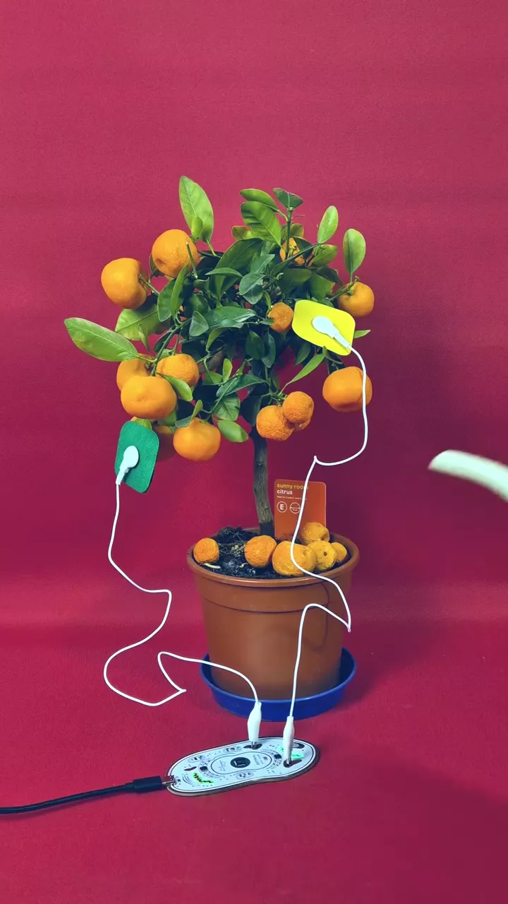 MIDI CONTROLLER BIOTRON – Playtronica