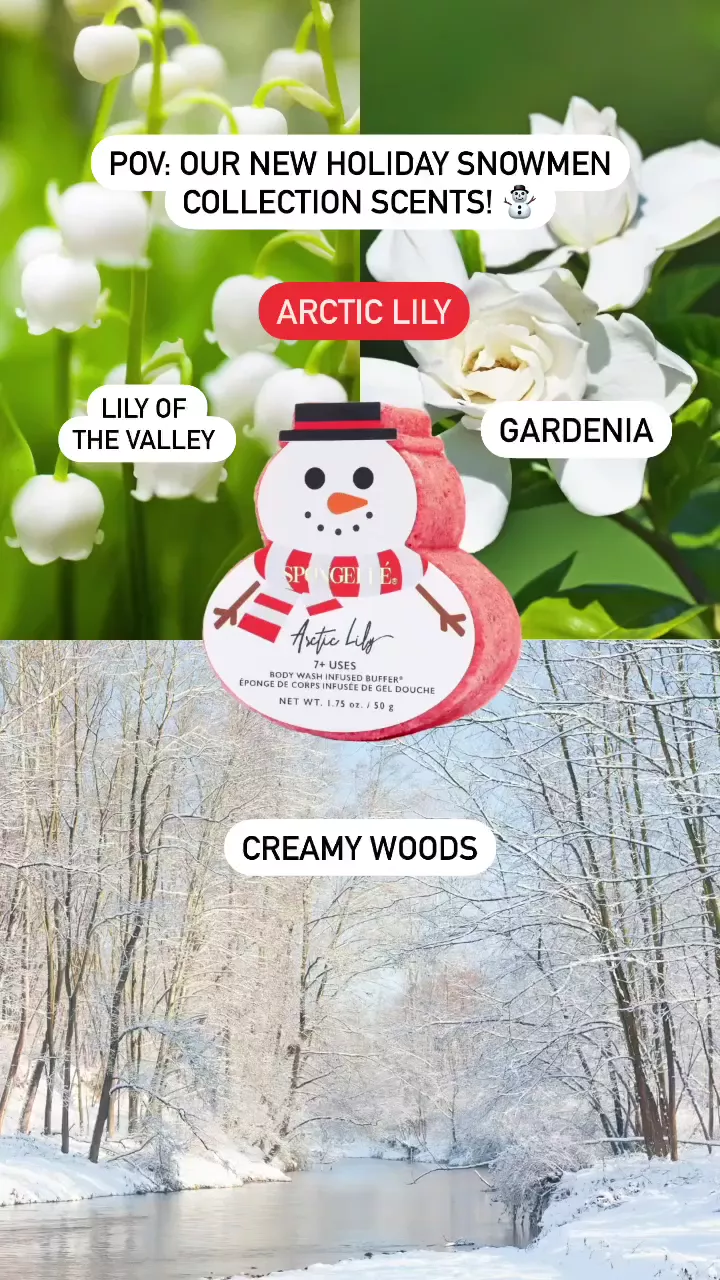 Holiday Snowman Assorted Pack – Spongellé