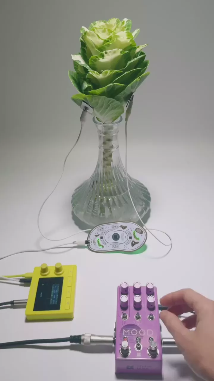 MIDI CONTROLLER BIOTRON – Playtronica