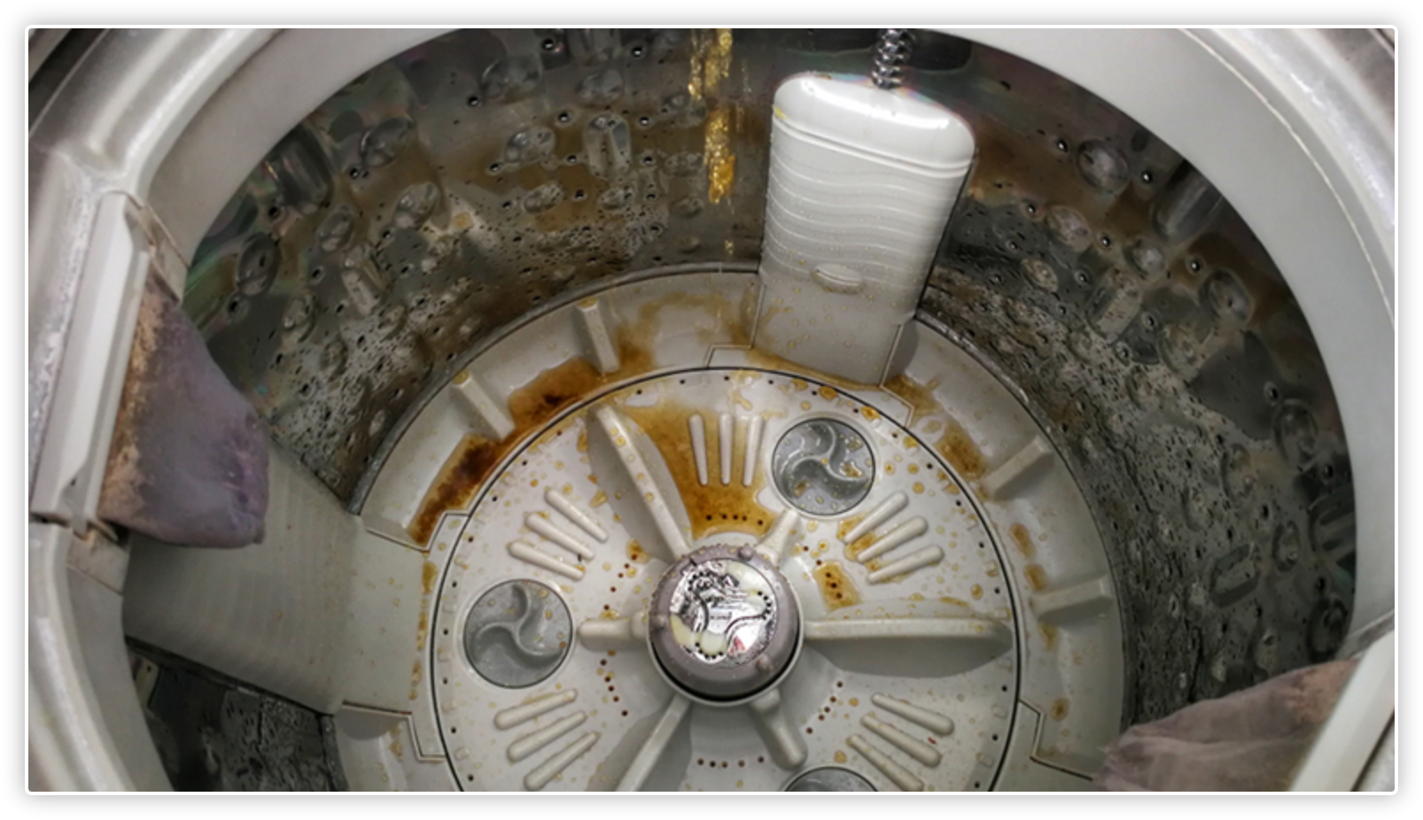 Are These New Washing Machine “Enzyme Tabs” The Miracle 
Cleaner Pet Owners Have Been Searching For?