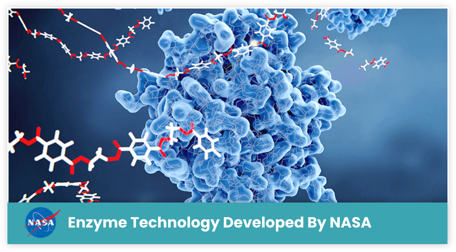 Are These New Washing Machine “Enzyme Tabs” The Miracle 
Cleaner Pet Owners Have Been Searching For?