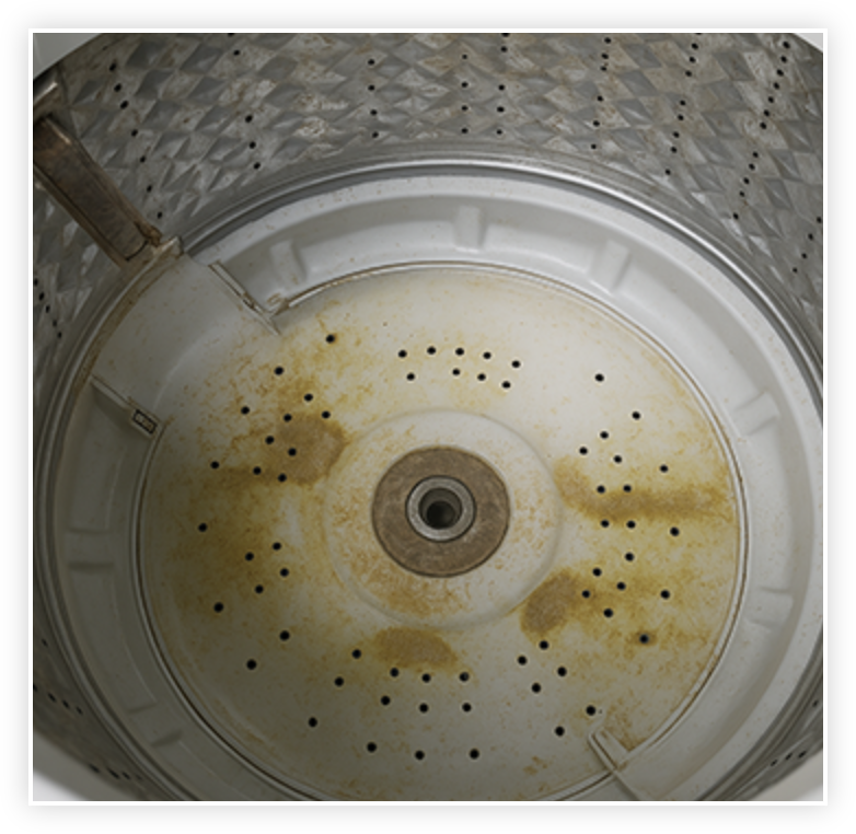 Are These New Washing Machine “Enzyme Tabs” The Miracle 
Cleaner Pet Owners Have Been Searching For?