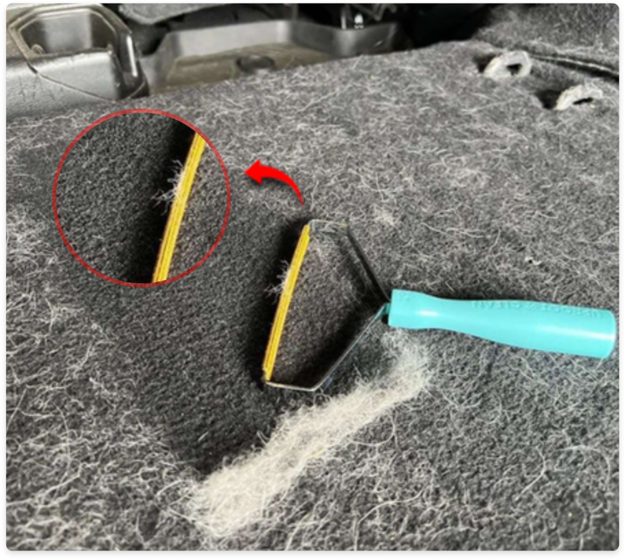 6 Reasons This Is the Only Tool I’ll Use to Remove Pet Hair After 10 Years as a Pro House Cleaner